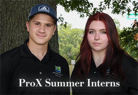 Pro X Summer Interns